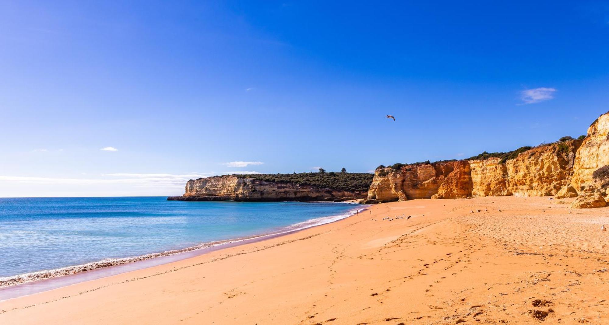 Апартаменти Casa Limao - Senhora Da Rocha, Algarve Поршеш Екстер'єр фото